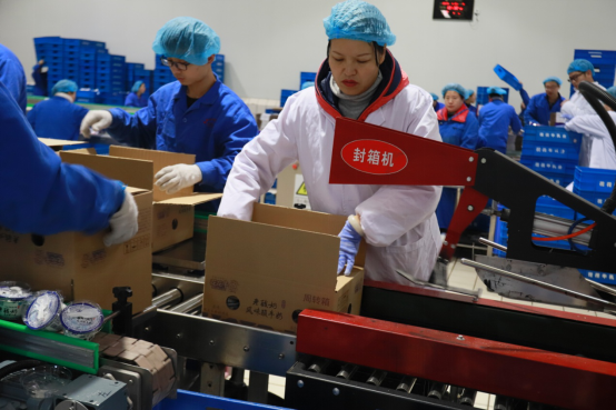 黨員帶頭赴一線 助力春節保生產—花花牛別樣“生產突擊隊”助力車間生產 黨員帶頭赴一線 助力春節保生產—花花牛別樣“生產突擊隊”助力車間生產