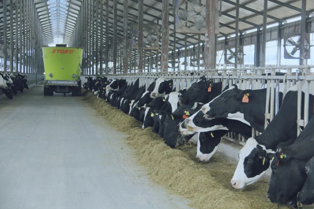 花花牛丨駐馬店市遂平縣政協(xié)黨組書記、主席張衛(wèi)東一行蒞臨花花牛魯山瑞亞牧場(chǎng)參觀 花花牛丨駐馬店市遂平縣政協(xié)黨組書記、主席張衛(wèi)東一行蒞臨花花牛魯山瑞亞牧場(chǎng)參觀