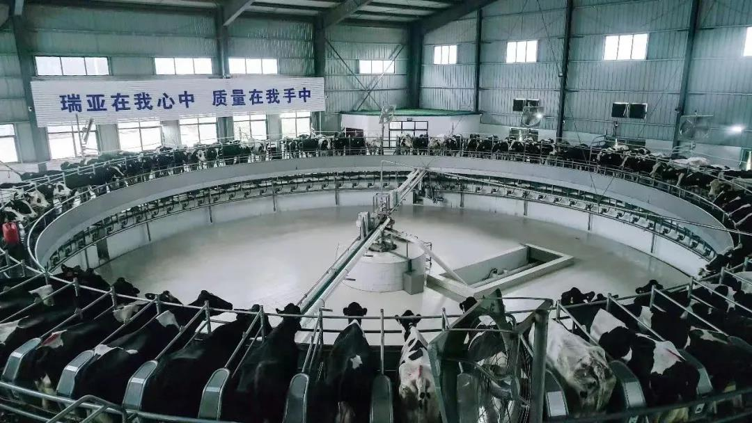 花花牛丨駐馬店市遂平縣政協(xié)黨組書記、主席張衛(wèi)東一行蒞臨花花牛魯山瑞亞牧場(chǎng)參觀 花花牛丨駐馬店市遂平縣政協(xié)黨組書記、主席張衛(wèi)東一行蒞臨花花牛魯山瑞亞牧場(chǎng)參觀