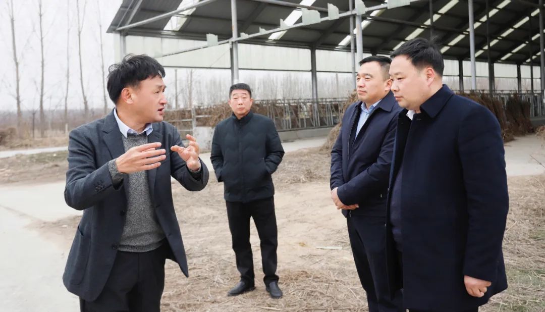 發(fā)揮產(chǎn)業(yè)優(yōu)勢 助力鄉(xiāng)村振興 | 民權(quán)縣委副書記、縣長王靜嫻會見關(guān)曉彥董事長一行