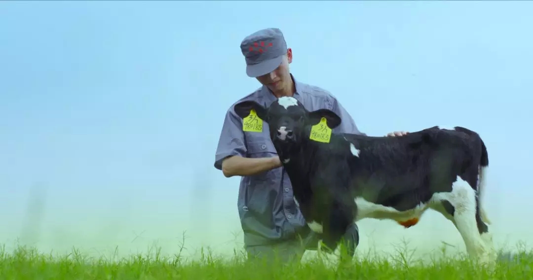 河南省人大常委會黨組書記、副主任孔昌生蒞臨花花牛魯山瑞亞牧場參觀調(diào)研 河南省人大常委會黨組書記、副主任孔昌生蒞臨花花牛魯山瑞亞牧場參觀調(diào)研