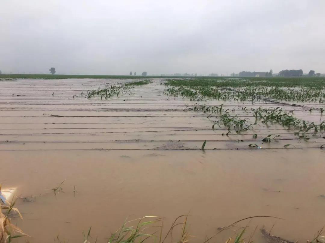 【乳報(bào)·聚焦】“豫”難而上的中原牛人“太中了”! 【乳報(bào)·聚焦】“豫”難而上的中原牛人“太中了”!