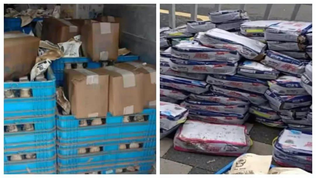 【乳報(bào)·聚焦】“豫”難而上的中原牛人“太中了”! 【乳報(bào)·聚焦】“豫”難而上的中原牛人“太中了”!