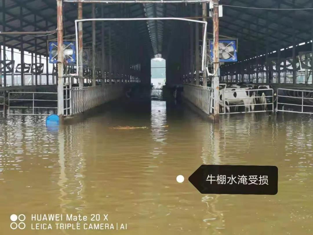 【乳報(bào)·聚焦】“豫”難而上的中原牛人“太中了”! 【乳報(bào)·聚焦】“豫”難而上的中原牛人“太中了”!