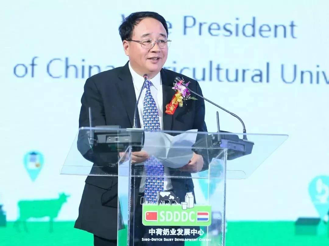 SDDDC走進河南，看看花花牛的國際范兒！