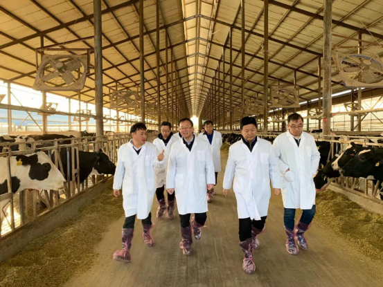 寧夏回族自治區(qū)農(nóng)業(yè)農(nóng)村廳黨組書記、廳長(zhǎng)王剛一行蒞臨花花牛乳業(yè)集團(tuán)調(diào)研 寧夏回族自治區(qū)農(nóng)業(yè)農(nóng)村廳黨組書記、廳長(zhǎng)王剛一行蒞臨花花牛乳業(yè)集團(tuán)調(diào)研