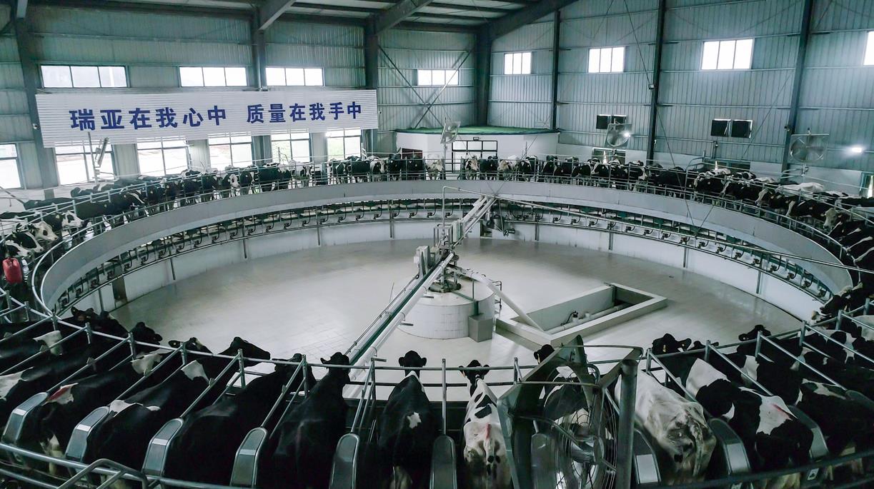 又雙叒叕獲獎(jiǎng)啦!花花牛榮獲“乳品質(zhì)量安全管理 優(yōu)秀企業(yè)” 又雙叒叕獲獎(jiǎng)啦!花花牛榮獲“乳品質(zhì)量安全管理 優(yōu)秀企業(yè)”