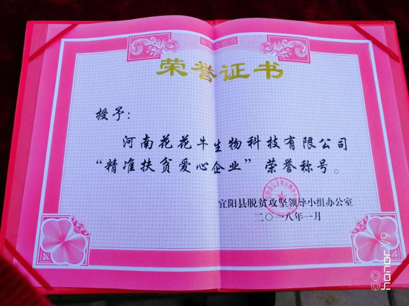 關(guān)愛(ài)成長(zhǎng) 相伴未來(lái)——精準(zhǔn)扶貧“暖冬公益行”走進(jìn)宜陽(yáng)縣白楊鎮(zhèn)