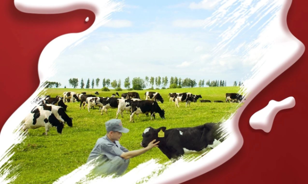 喜報(bào)！花花牛董事長(zhǎng)關(guān)曉彥再獲”優(yōu) 秀企業(yè)家”稱號(hào)